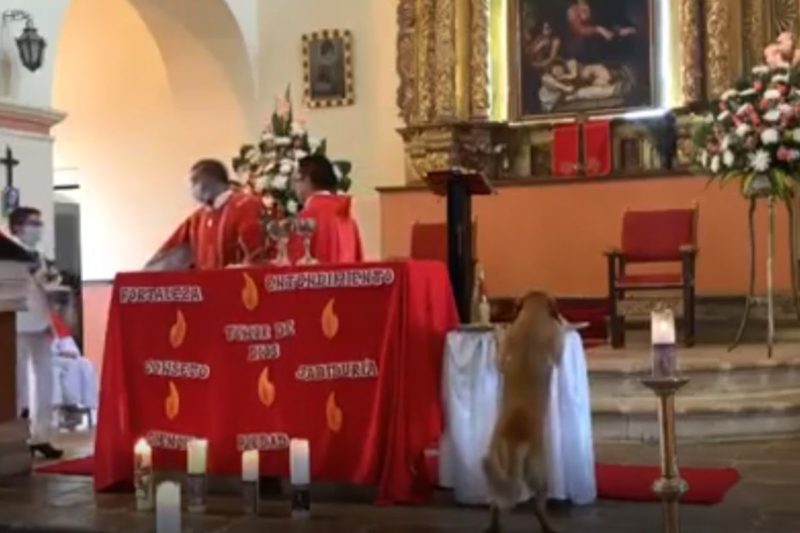 Sem cerim&ocirc;nia, ele foi at&eacute; o altar e pegou o p&atilde;o – Foto: Fabio Motos/Reprodu&ccedil;&atilde;o