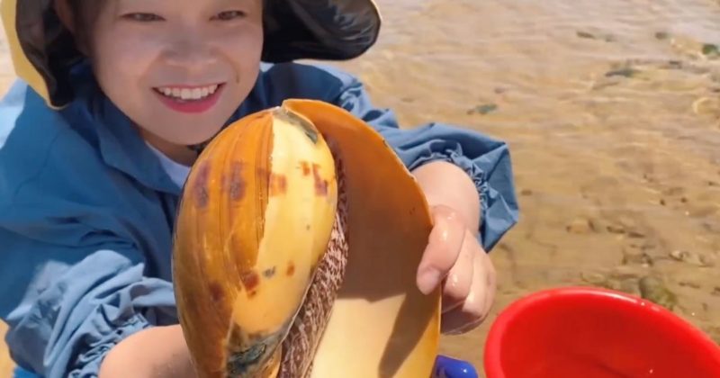 Que bicho &eacute; esse? XiaoZhang fatura e faz sucesso na web com animais ex&oacute;ticos