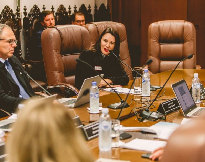 Cl&aacute;udia Prud&ecirc;ncio, presidente da OAB/SC fez a sustenta&ccedil;&atilde;o oral do pleito no Conselho da Magistratura – Foto: Divulga&ccedil;&atilde;o/ND&nbsp;