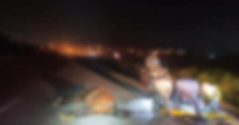 Motociclista bateu contra cavalo que estava na pista de rolamento da rodovia Ant&ocirc;nio Heil – Foto: Pol&iacute;cia Militar/Divulga&ccedil;&atilde;o