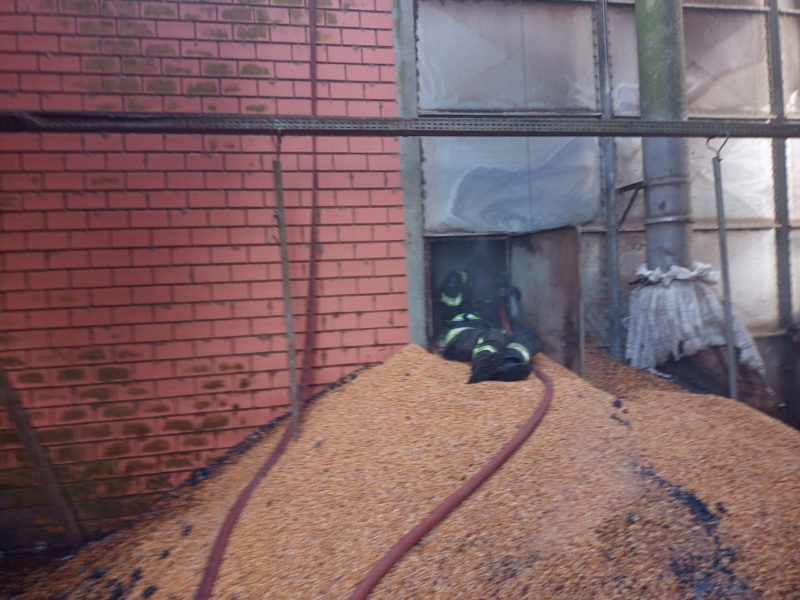 Para conter o inc&ecirc;ndio foram utilizados 20 mil litros de &aacute;gua. – Foto: Corpo de Bombeiros/ND