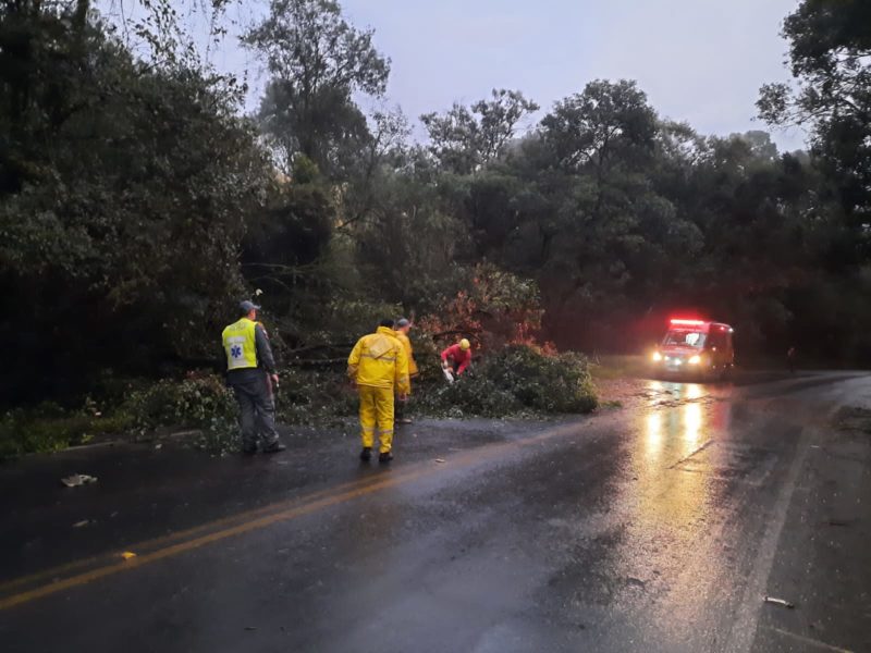 Bombeiros passaram toda a madrugada solucionando os transtornos do vendaval. – Foto: Corpo de Bombeiros Militar/Divulga&ccedil;&atilde;o/ND