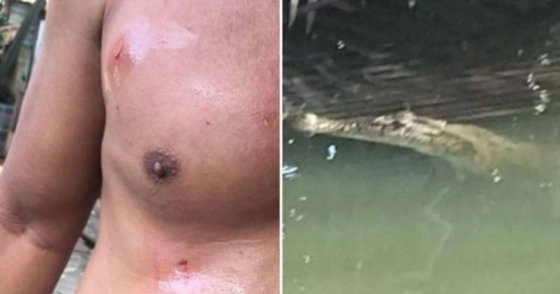 Familiares chegaram a fazer registro em foto do crocodilo que invadiu a casa – Foto: Reprodu&ccedil;&atilde;o