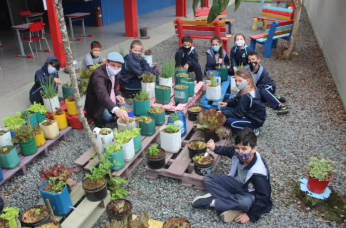 Dia Mundial do Meio Ambiente: alunos aproveitam para aprender na horta escolar