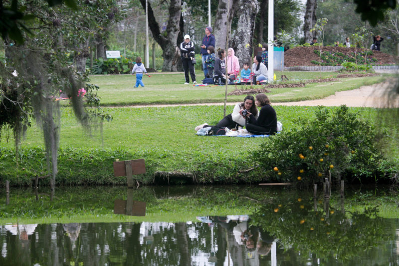 Jardim Bot&acirc;nico de Florian&oacute;polis &eacute; um ref&uacute;gio dentro da cidade – Foto: Leo Munhoz/ND