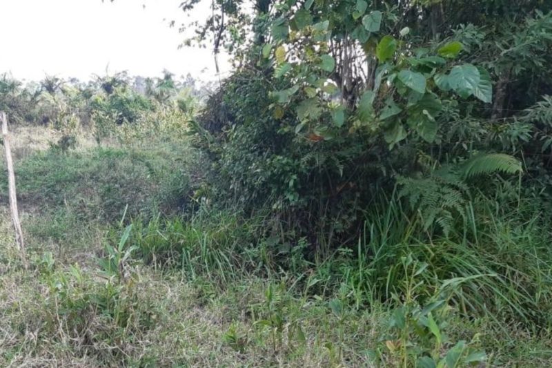 Crian&ccedil;as que brincavam no local encontraram o corpo – Foto: PM/Divulga&ccedil;&atilde;o/ND