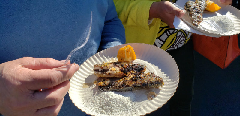 Imagem mostra sardinha servida na última edição da Festa do Peixe em Itajaí