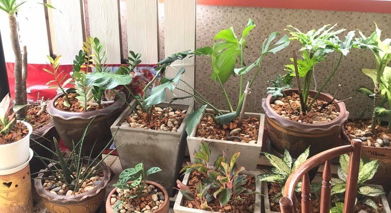 Voc&ecirc; consegue encontrar o gatinho? – Foto: thereisnocat_/Twitter/Reprodu&ccedil;&atilde;o/ND