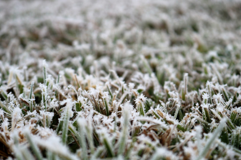 Geada deste domingo (19) pode se repetir na madrugada de segunda (20) – Foto: Comunica&ccedil;&atilde;o Social 1&deg;BFv/Divulga&ccedil;&atilde;o/ND