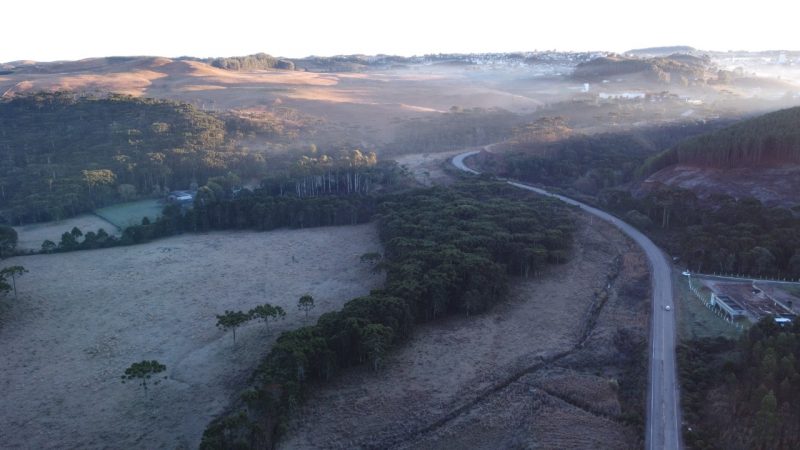 Municípios como São Joaquim amanheceram branquinhos por conta das temperaturas negativas — Foto: Wagner Urbano/Divulgação/ND