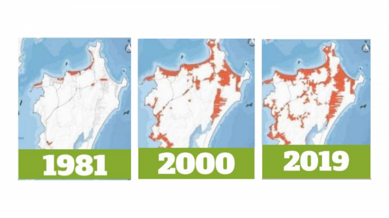 Mancha populacional no Norte da Ilha – Foto: Arte/ND