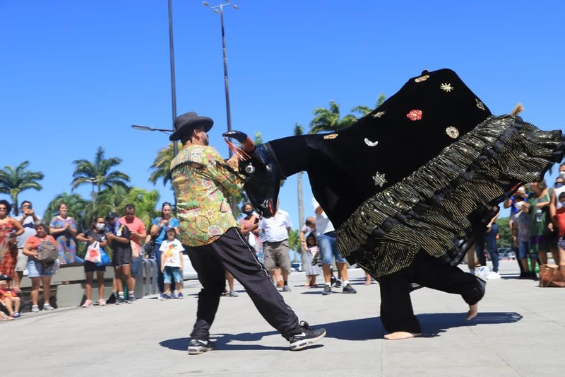 Festival tem in&iacute;cio nesta quarta-feira (8) em Florian&oacute;polis, e deve contar com in&uacute;meras atra&ccedil;&otilde;es culturais relacionadas a cultura man&eacute;, como o boi de mam&atilde;o – Foto: Marcos Albuquerque/Divulga&ccedil;&atilde;o/ND