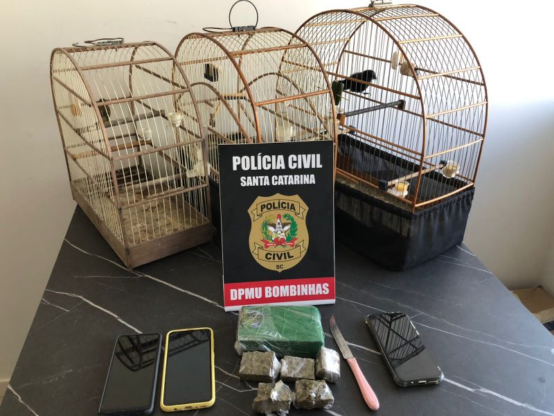 Adolescente tamb&eacute;m foi apreendido, al&eacute;m de drogas e p&aacute;ssaros silvestres ilegais encontrados pela Pol&iacute;cia Civil – Foto: Pol&iacute;cia Civil de Bombinhas/Divulga&ccedil;&atilde;o/ND