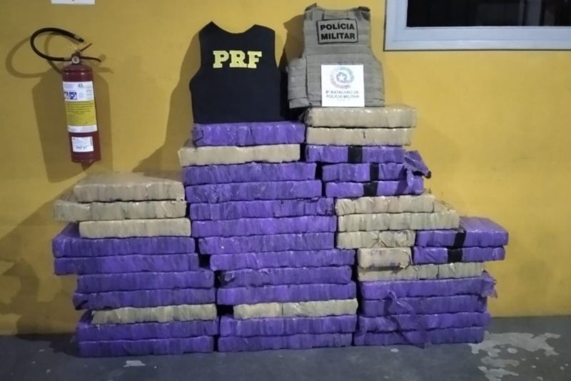 PRF and the Prime Minister were involved in the operation together, during which six people were arrested and 455 kg of marijuana were seized - Photo: Police/Disclosure/ND