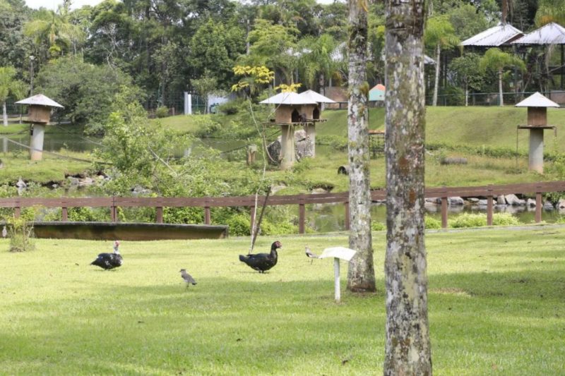 O local ficar&aacute; fechado at&eacute; o meio-dia para manuten&ccedil;&atilde;o – Foto: Prefeitura de Joinville/Divulga&ccedil;&atilde;o/ND