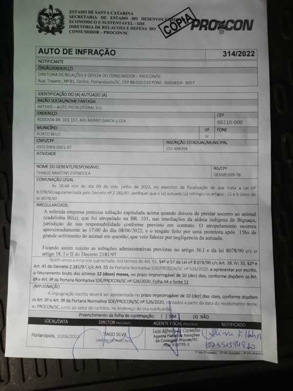 A empresa foi notificada na &uacute;ltima quinta-feira (9) – Foto: Procon/Reprodu&ccedil;&atilde;o/ND