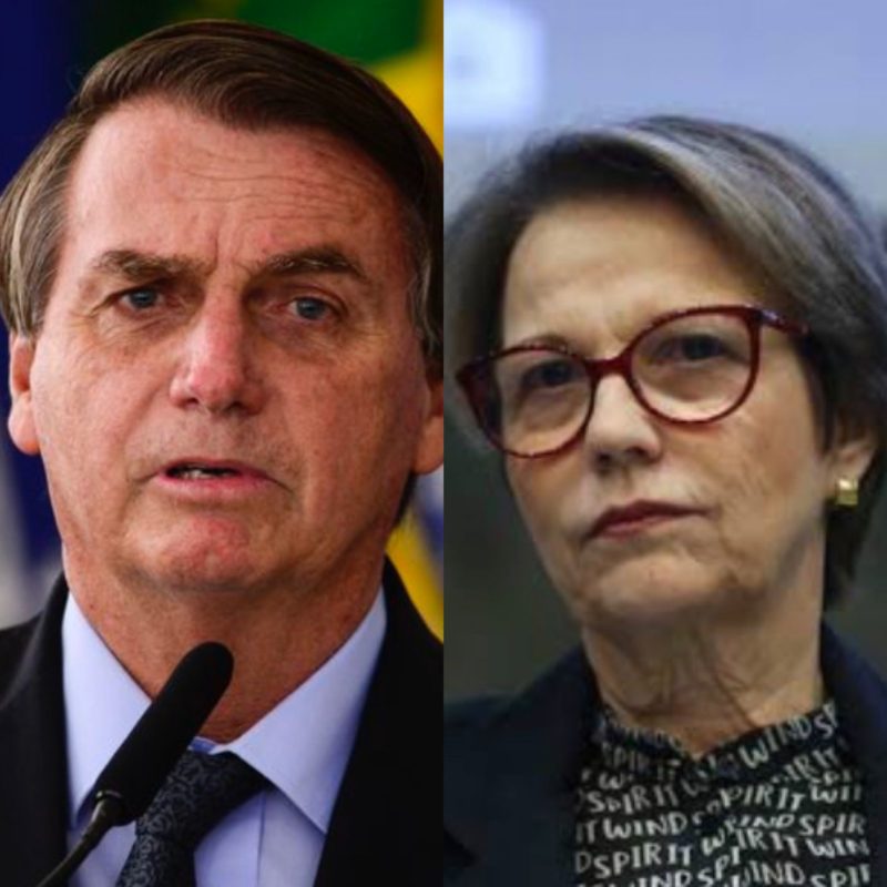 Jair Bolsonaro considers Teresa Cristina’s name a vice on his ticket ...