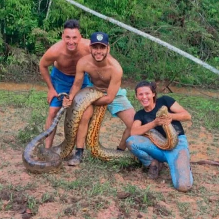 Grupo salva cachorro da boca de sucuri gigante – Foto: Internet/ND