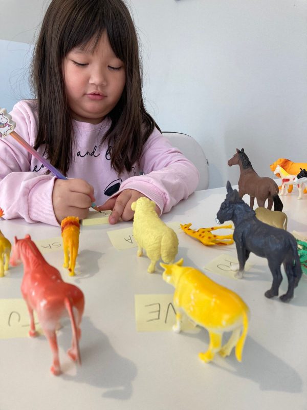 Lara agora j&aacute; fala e est&aacute; aprendendo a escrever – Foto: Arquivo pessoal/Reprodu&ccedil;&atilde;o/ND