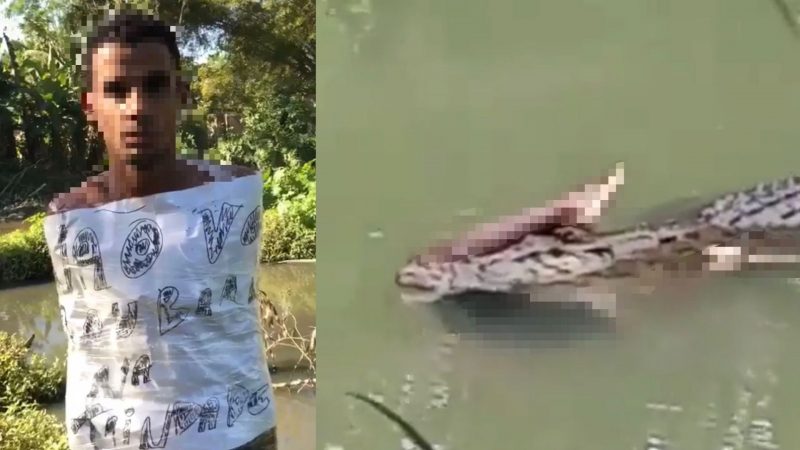 V&iacute;deo de ladr&atilde;o sendo jogado aos jacar&eacute;s em Florian&oacute;polis &eacute; falso – Foto: V&iacute;deostopflagras/YouTube/Reprodu&ccedil;&atilde;o/ND