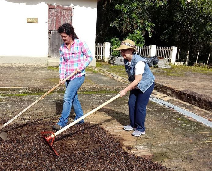 As rotas deste ano contemplam quatro cadeias produtivas – Foto: Minist&eacute;rio da Agricultura/ND