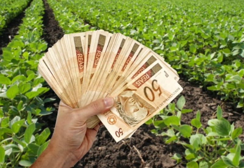 A empresa era uma das mais tradicionais do ramo na regi&atilde;o Sul do Estado – Foto: Divulga&ccedil;&atilde;o/ND