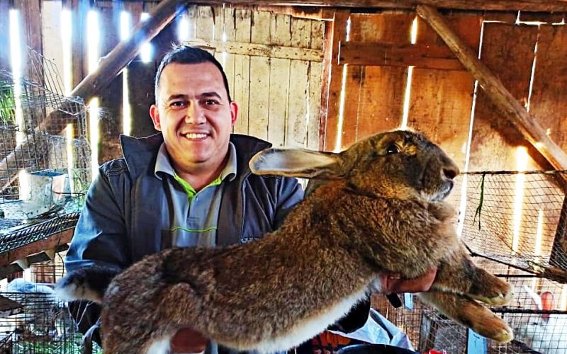 O engenheiro agr&ocirc;nomo Geovane Ruschel &eacute; respons&aacute;vel pela cria&ccedil;&atilde;o de coelhos gigantes e mini.