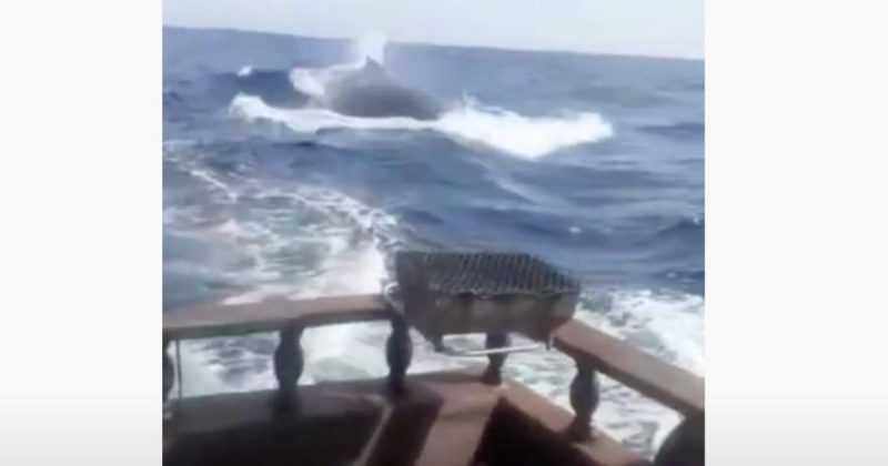 Baleia enorme aparece ao fundo da imagem, enquanto pescadores fogem – Foto: Reprodu&ccedil;&atilde;o