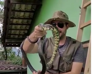 Cobra capturada em telhado de casa em Jaraguá do Sul