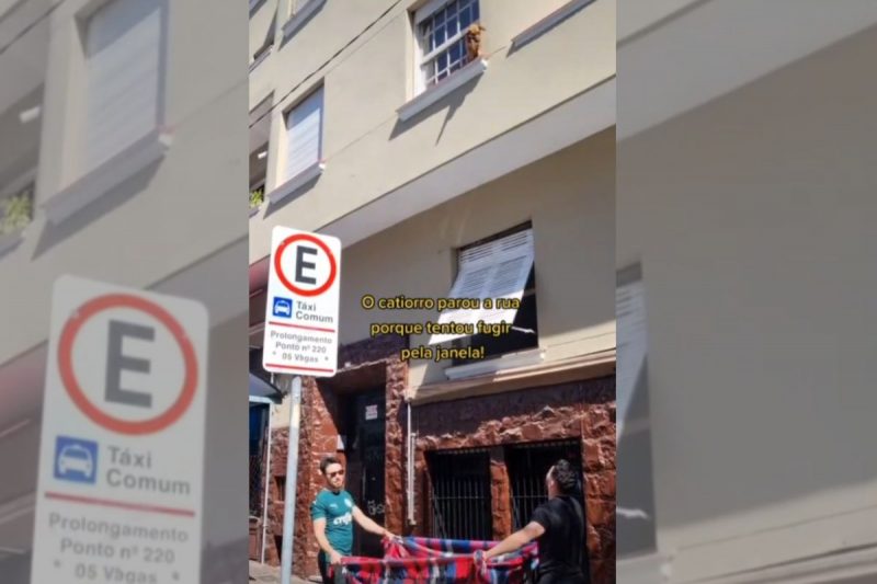 Cachorro mobilizou a rua toda ao tentar fugir pela janela e ficar preso no parapeito – Foto: Reprodu&ccedil;&atilde;o/Gutierre Souza