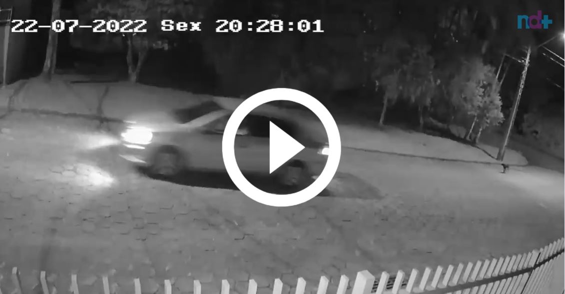 VIDEO Camera caught dog running after car that abandoned it in
