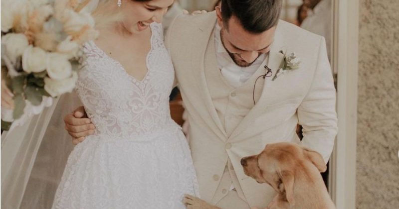 Cachorro acompanhou o casamento e grudou nos noivos: acabou ganhando um lar e um nome… Caramelo – Foto: Reprodu&ccedil;&atilde;o
