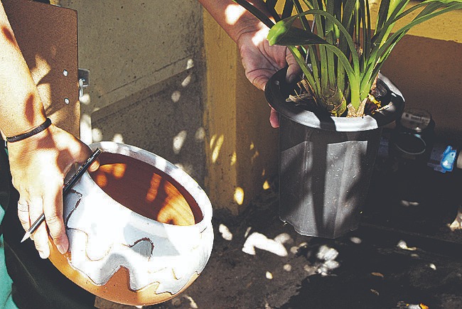 Para a bi&oacute;loga Priscilla Tamioso, fator humano &eacute; um dos mais importantes para controlar a infesta&ccedil;&atilde;o de dengue – Foto: Divulga&ccedil;&atilde;o/PMF/ND