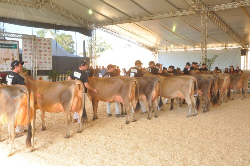 34ª FEIRA DO GADO GERAL PAINEL SC 