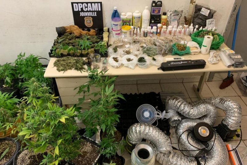 Homem foi preso em flagrante na sexta-feira (8) ap&oacute;s den&uacute;ncia – Foto: Pol&iacute;cia Civil/Divulga&ccedil;&atilde;o