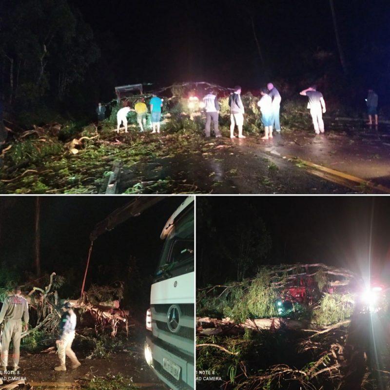 Queda de &aacute;rvore interditou a BR-470 na noite desta quinta-feira (29) – Foto: Divulga&ccedil;&atilde;o/ND