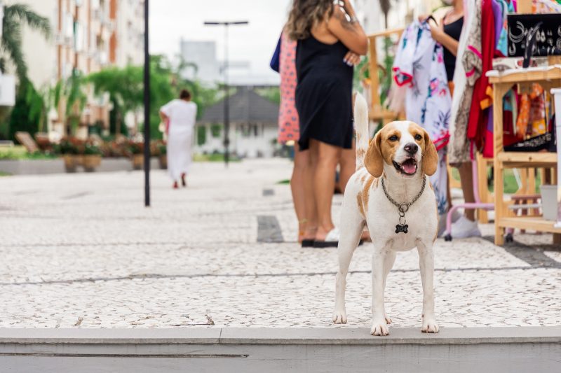Floripa tamb&eacute;m &eacute; um prato cheio de atividades para a fam&iacute;lia – Foto: Divulga&ccedil;&atilde;o