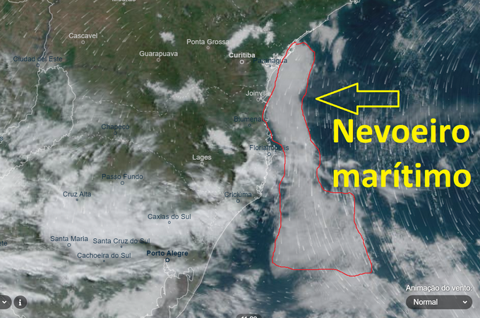 Nevoeiro mar&iacute;timo atinge a costa catarinense – Foto: Epagri/Ciram/Reprodu&ccedil;&atilde;o/ND