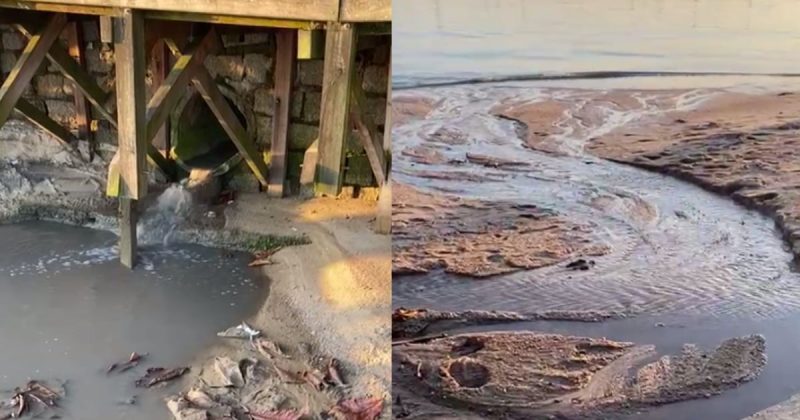 Moradora flagra “esgoto” na praia de Santo Ant&ocirc;nio de Lisboa em Florian&oacute;polis – Foto: Reprodu&ccedil;&atilde;o/NDTV RecordTV