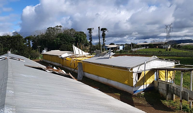 Os telhados de dois chiqueiros foram arrancados. – Foto: Defesa Civil/Divulgação/ND