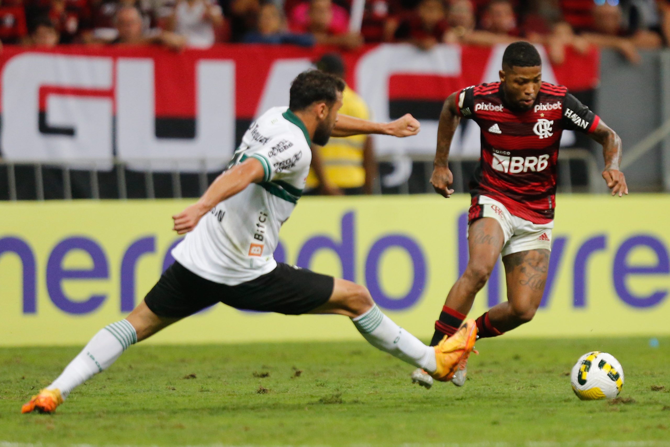 Avaí x Flamengo no Mané: GDF faz acordo com evento e confirma o