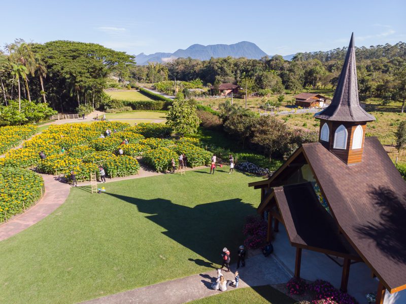 Estrutura do espa&ccedil;o – Foto: Mauro Artur Schlieck