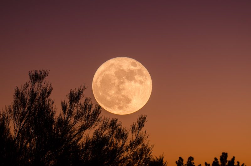 La superluna de julio promete ser la más grande del año – Foto: Unsplash/Disclosure/ND