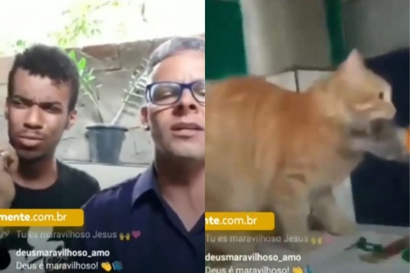 Gato surpreendeu os fi&eacute;is com “presentinho” durante live – Foto: Reprodu&ccedil;&atilde;o/Internet