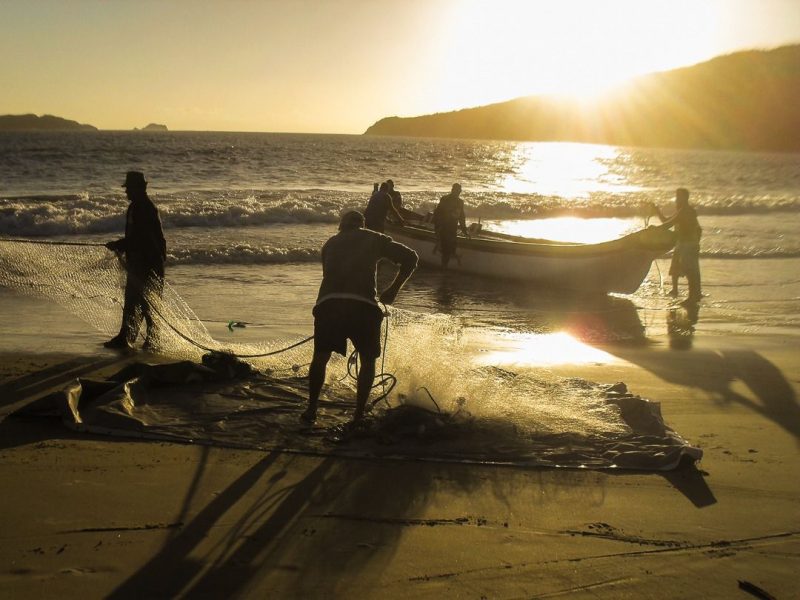 pesca da tainha em sc