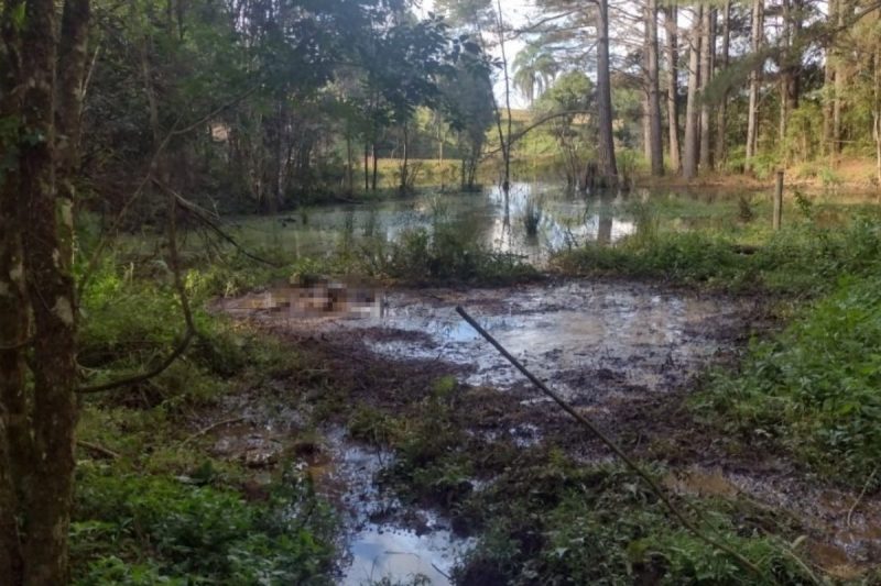 Corpo foi encontrado em &aacute;rea de banhado em abril deste ano – Foto: PC/Divulga&ccedil;&atilde;o