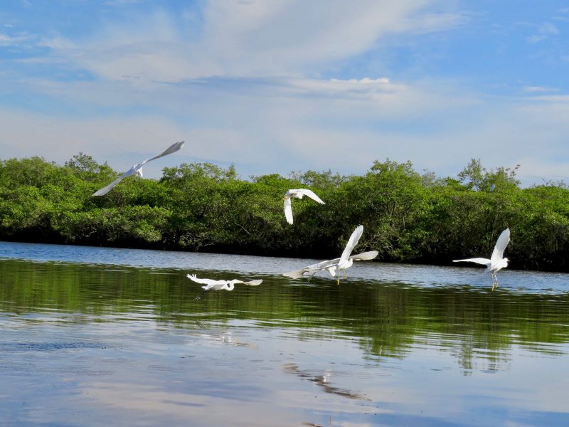 APA Itapo&aacute; – Foto: Prefeitura de Itapo&aacute;/Divulga&ccedil;&atilde;o ND