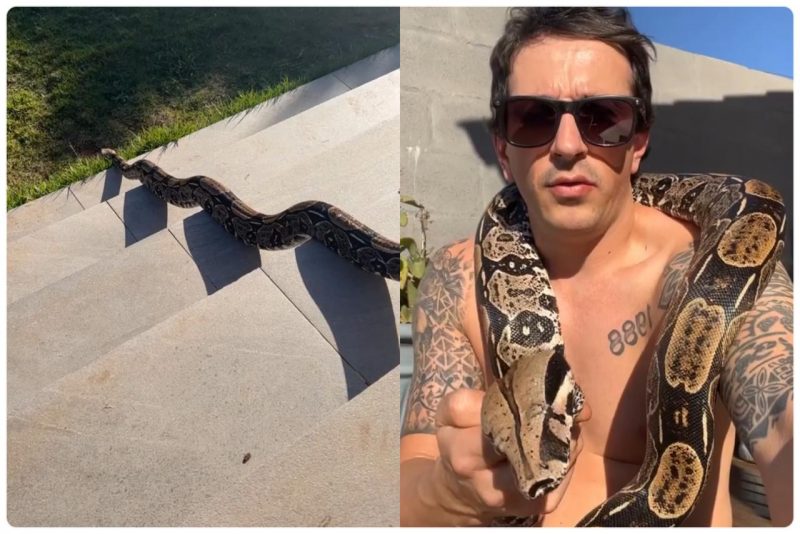 Bi&oacute;logo mostra jiboia tomando banho de sol em SC – Foto: Instagram/ND