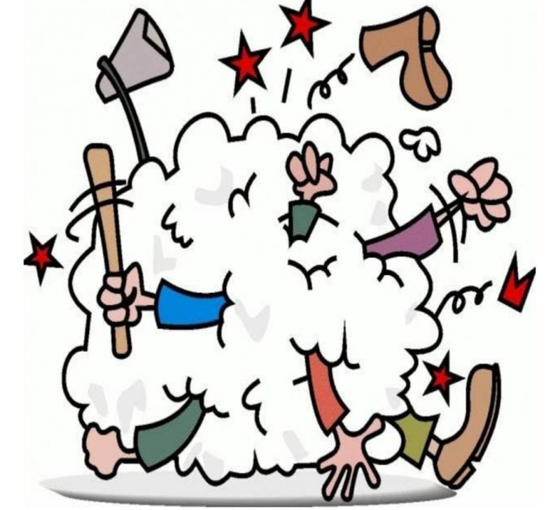 Homenagem a uma personalidade &lsquo;&rsquo;in memoriam causa mal-estar entre a ex e a atual – Foto: Divulga&ccedil;&atilde;o/ND