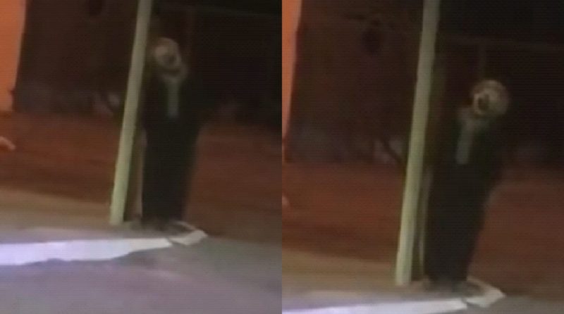 A clown terrorizes the people of Miranda - Photo: Reproduction / Internet / ND